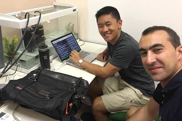 student and mentor at computer engineering lab