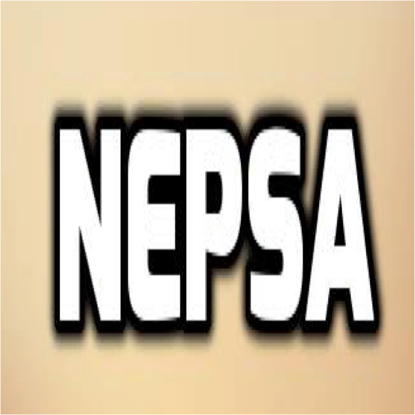 Northeastern Electrical and Computer Engineering (ECE) PhD Student Association logo
